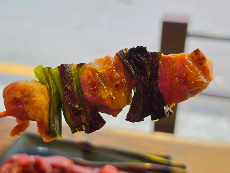 파닭 꼬치와 닭 껍질 꼬치