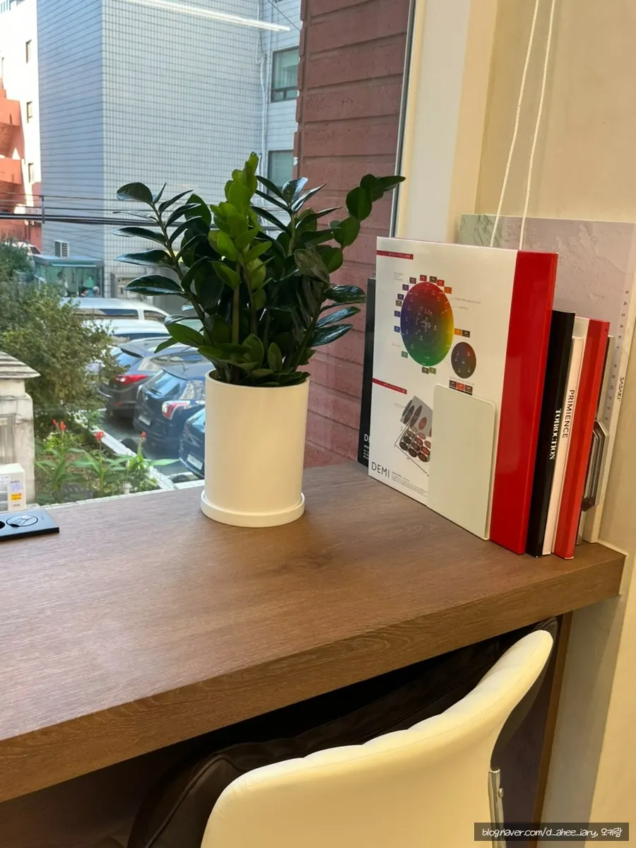 Decor pieces placed around the salon