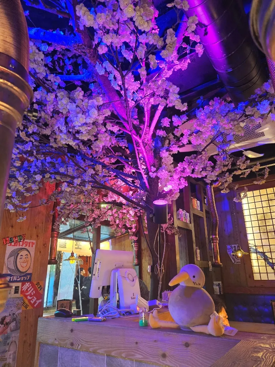 Cherry blossom lighting inside Yukhoe Gongjakso Sejong University branch