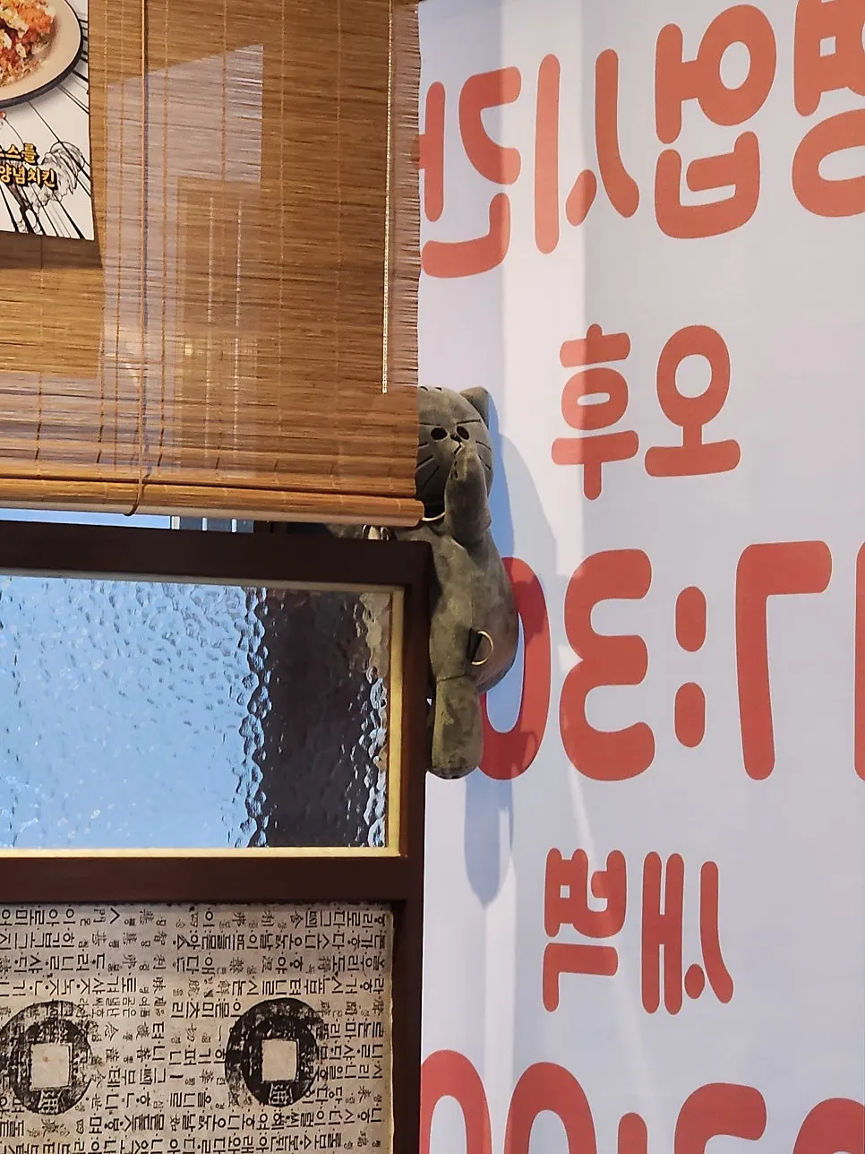 A cat watching from Saechamjip's window