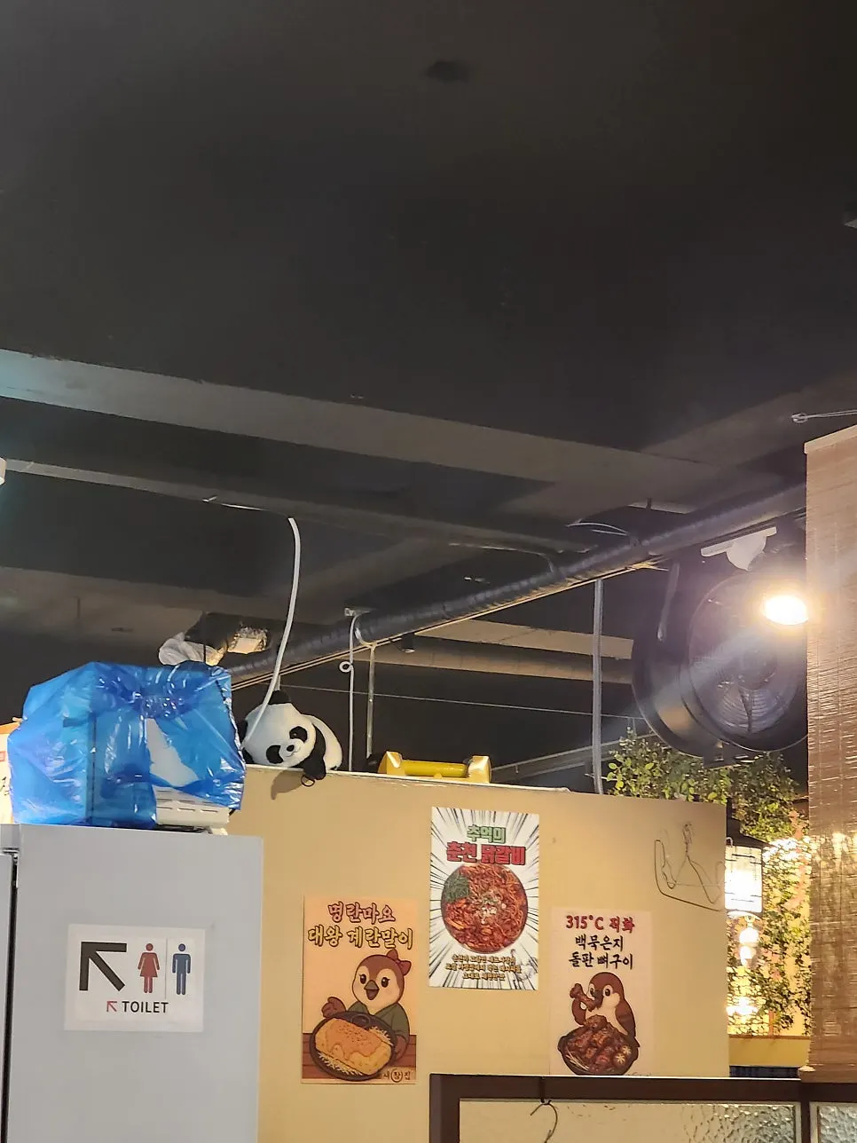 Panda figurines placed around the store