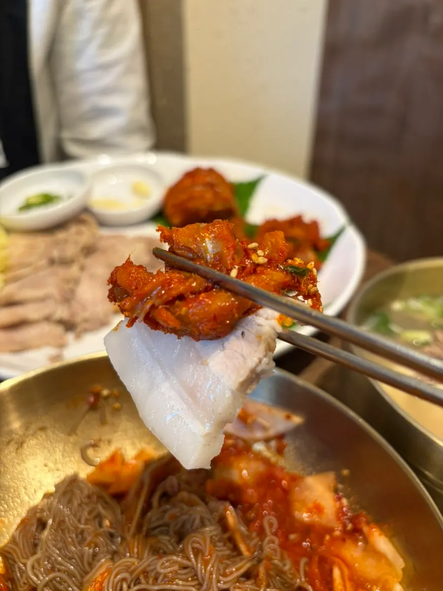 코다리냉면 위에 올린 코다리