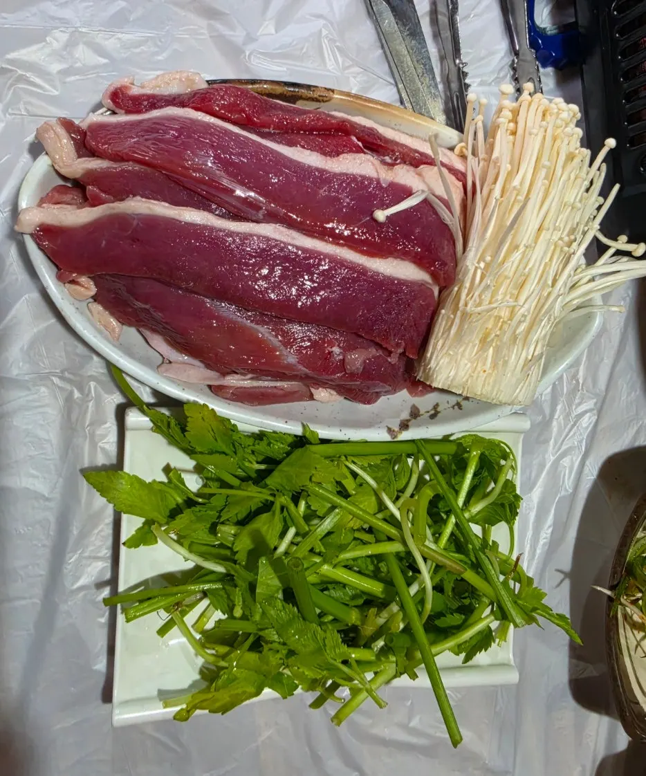 Bright reddish raw duck roast on a plate