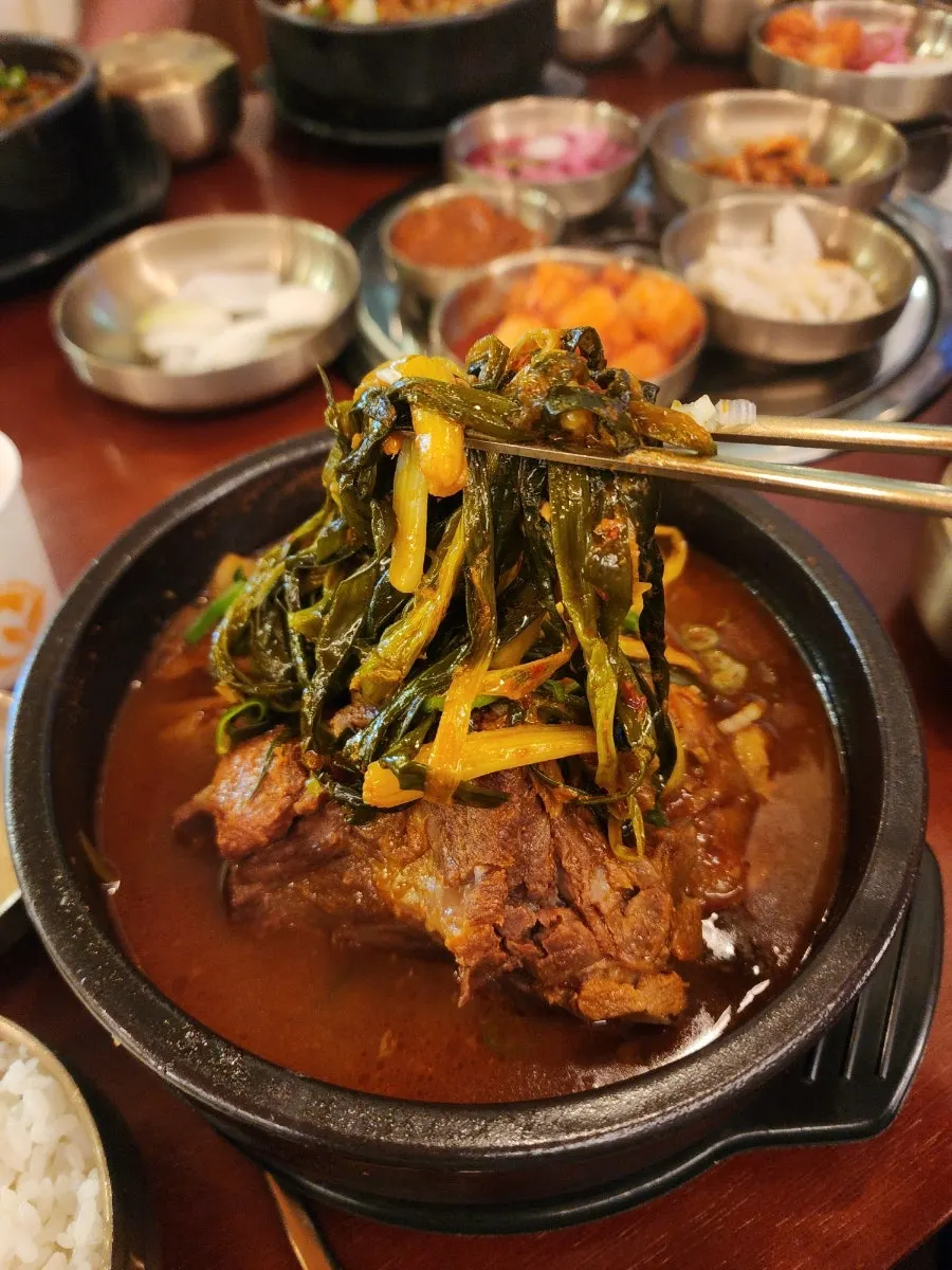 어린이 뚝배기불고기 한 그릇 클로즈업