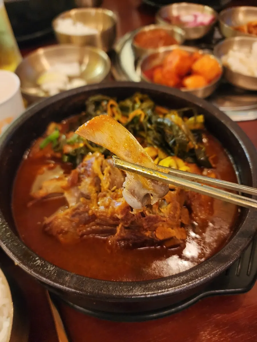 뼈가 세 개 들어간 뼈해장국 속