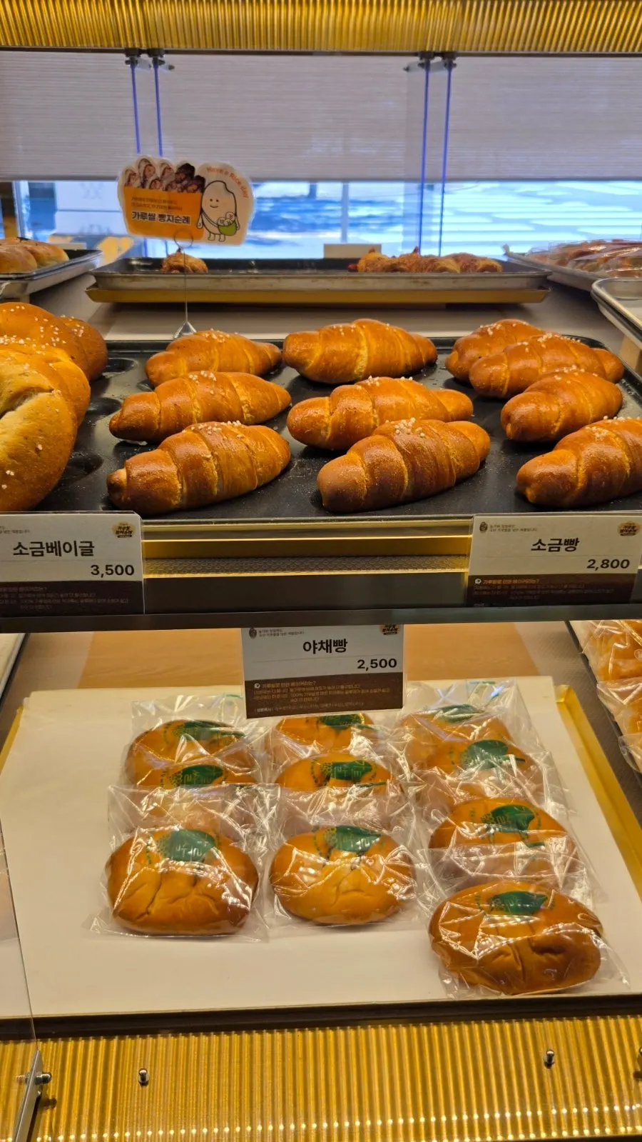 바게트류가 나란히 놓인 진열대