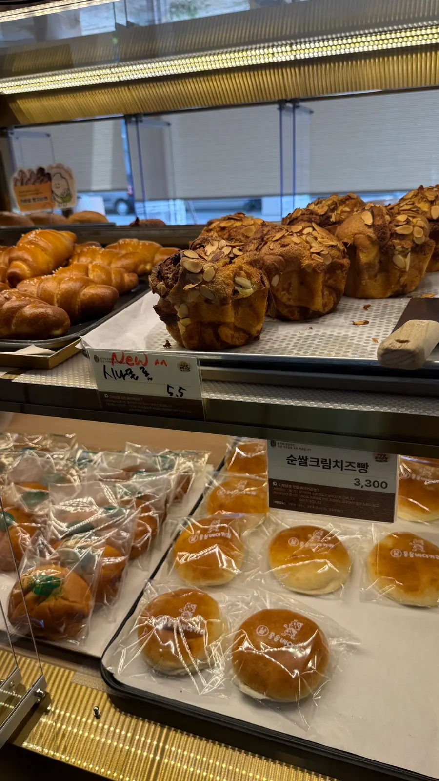 Gunsan Susong-dong bakery chapssaltteok red bean bread and sweet potato cream cheese bread shared with family, Hongyun Bakery