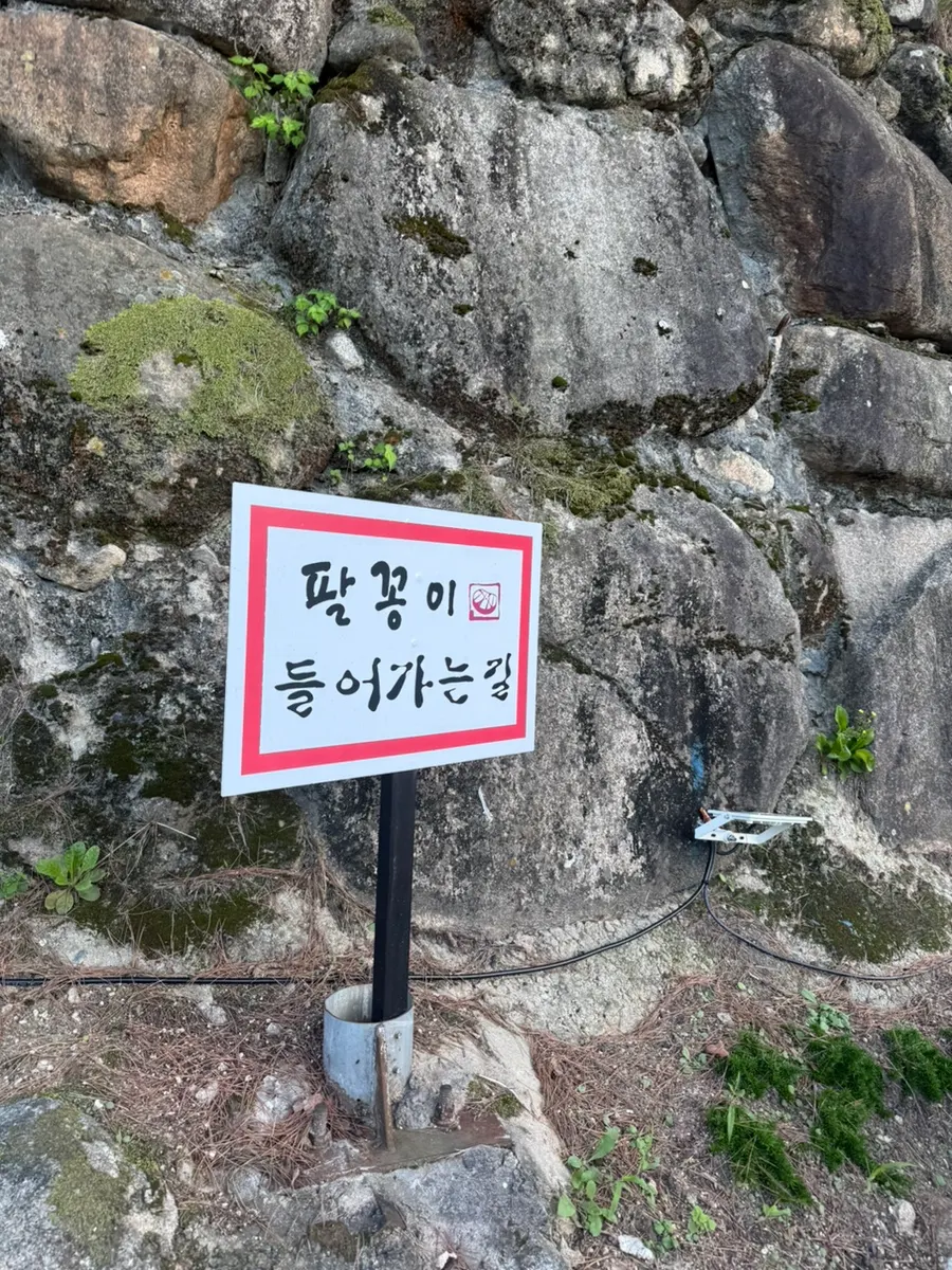 Palkkongi's inner parking line