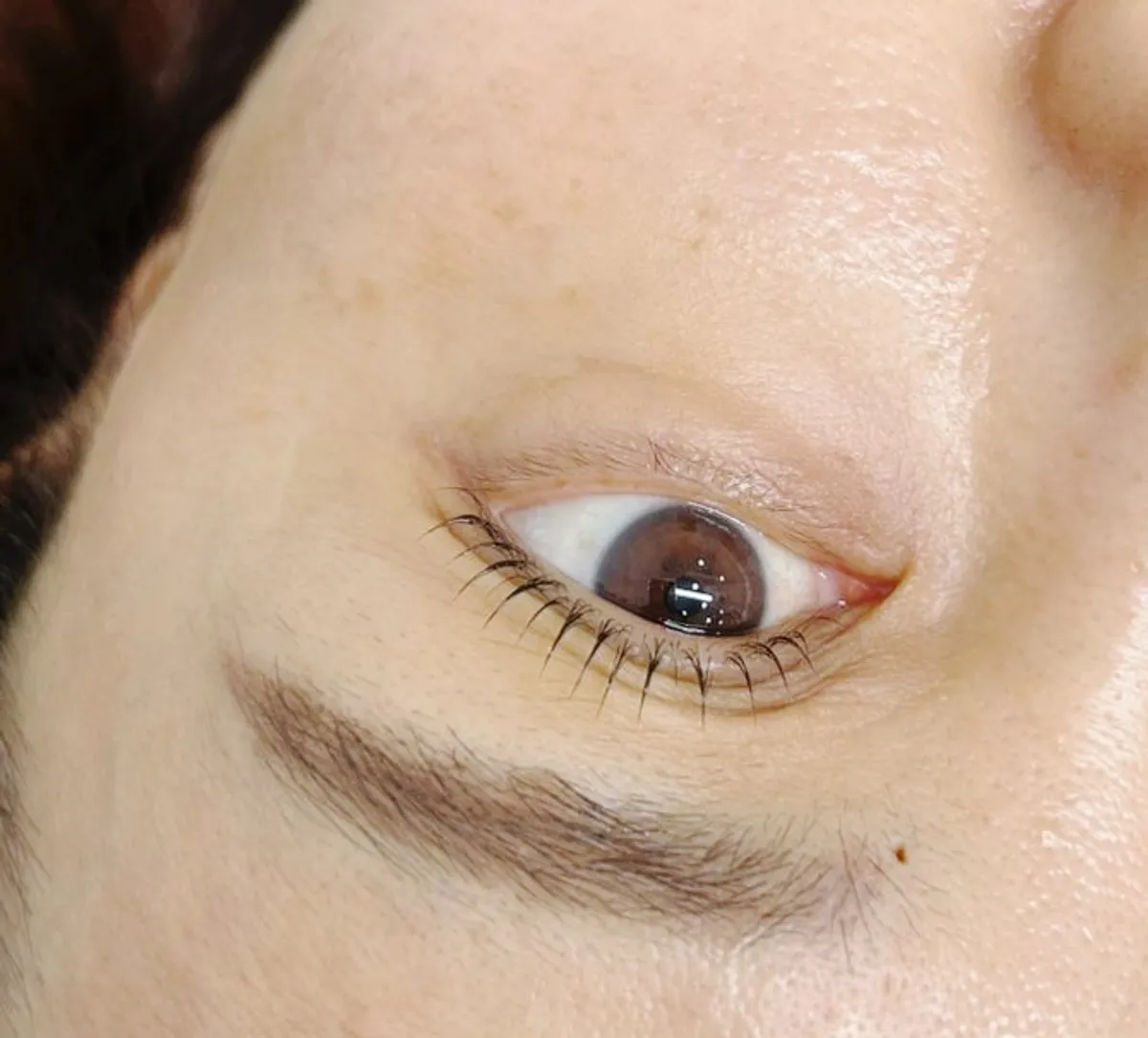 Lifted lashes and eye shape after the black moisture ampoule perm