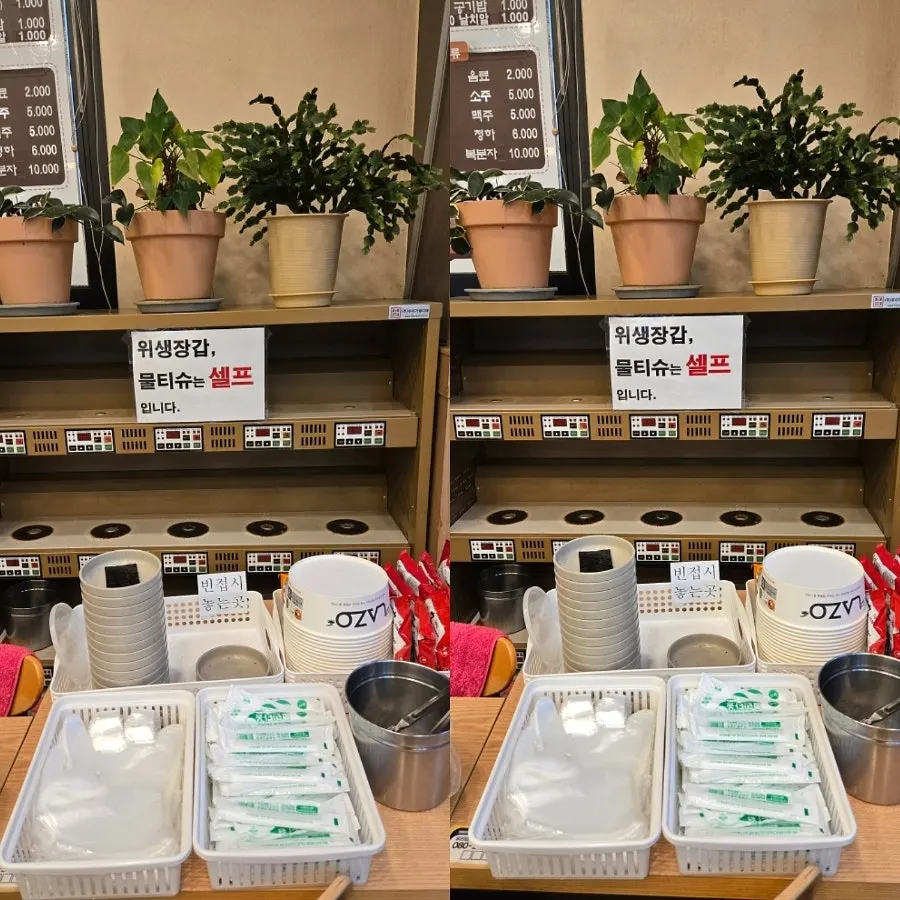 Self-serve corner with disposable gloves and wet wipes