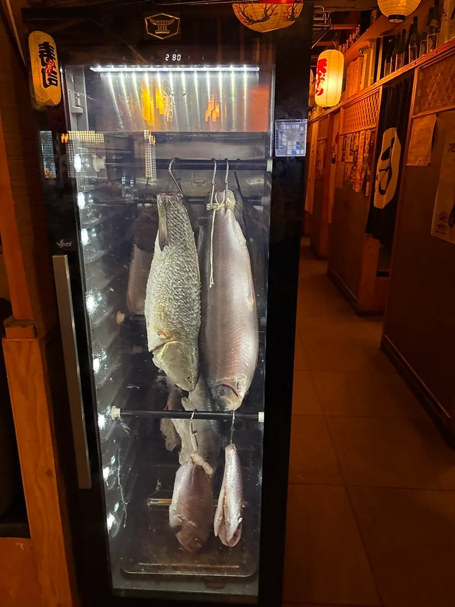 Discount event notice and aged-sashimi refrigerator