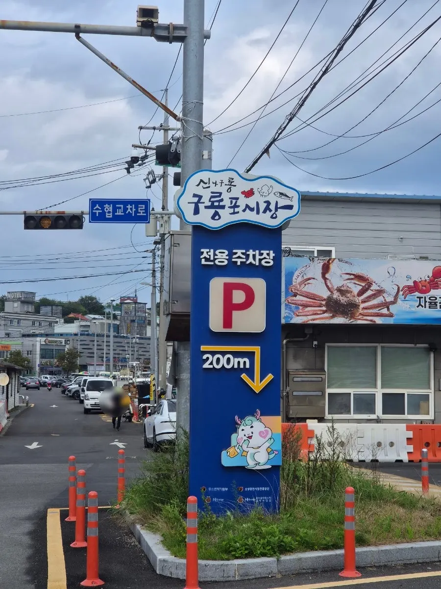 구룡포항 무료 공영주차장 안내