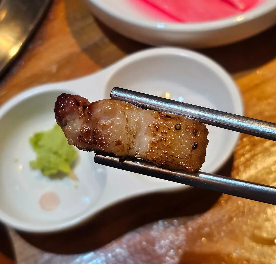 Cross-section of well-browned thick pork belly