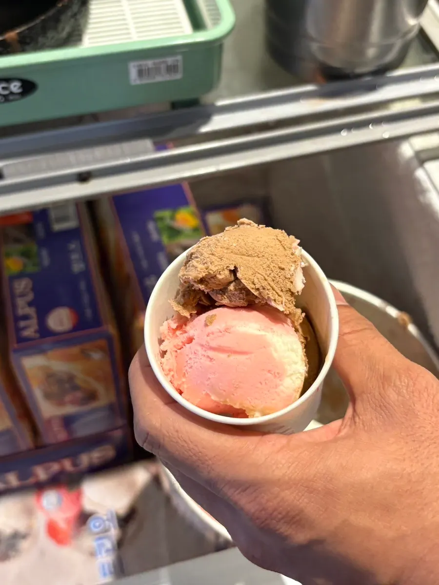 Ice cream after the mullet sashimi meal