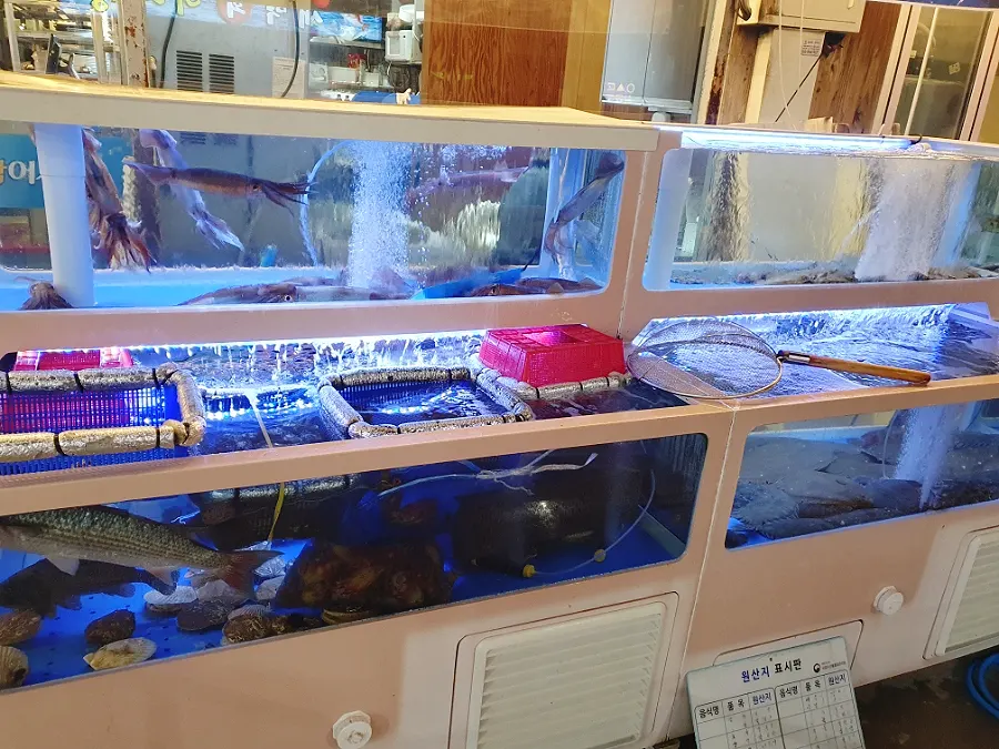 매장 입구 수족관과 활어 보관 모습