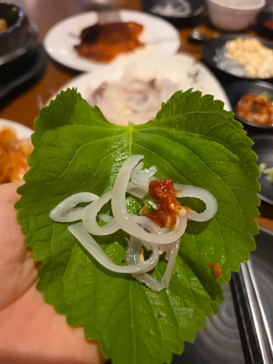 Sashimi sotong hidup diambil dengan penyepit