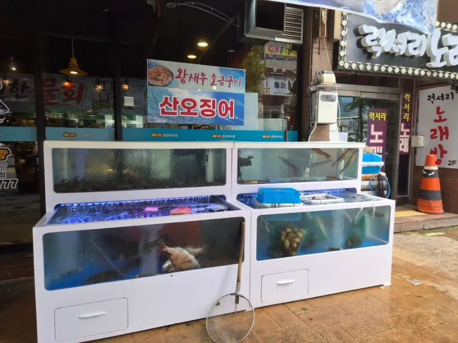 店外水族箱裡的海鮮