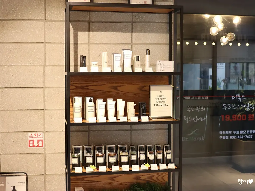 Head Designer Wonbin's styling station and salon interior
