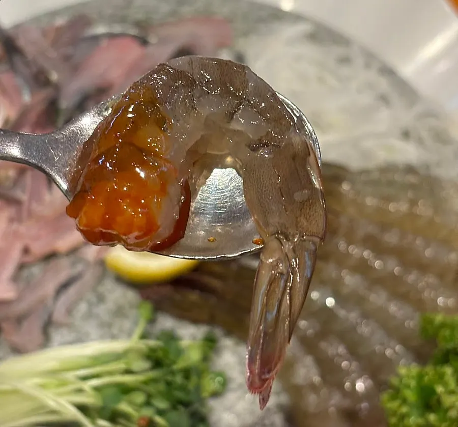 Raw shrimp sashimi dipped in chojang sauce