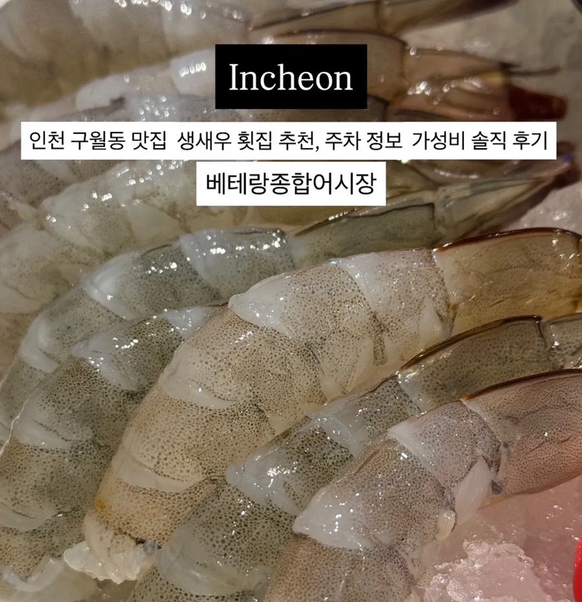 생새우회와 머리구이가 함께 놓인 테이블