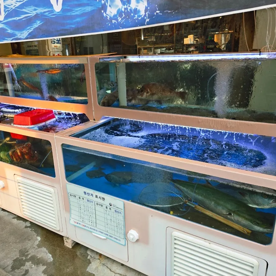 Veteran General Fish Market sign visible from a distance