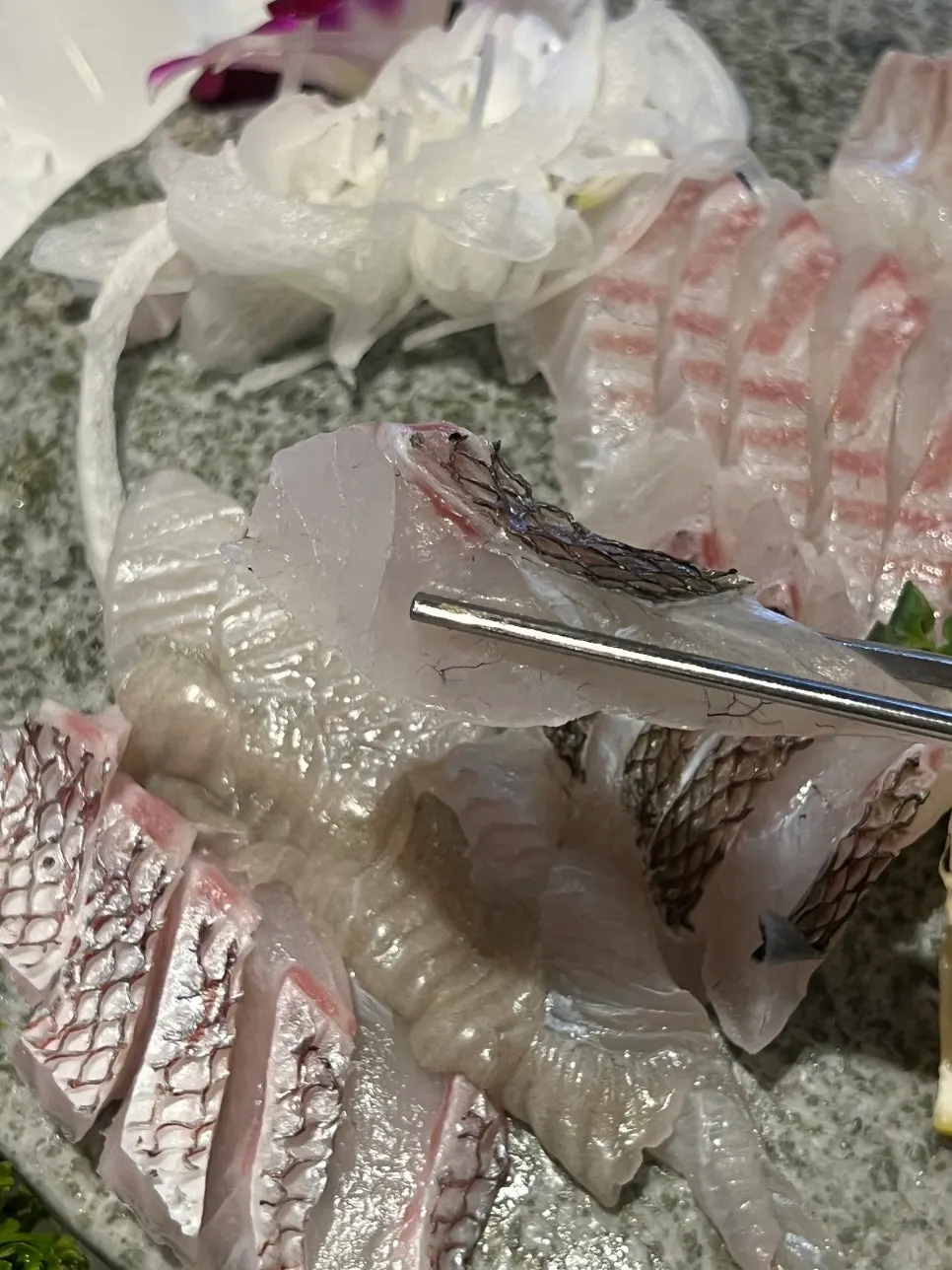 Cold platter of fresh raw fish