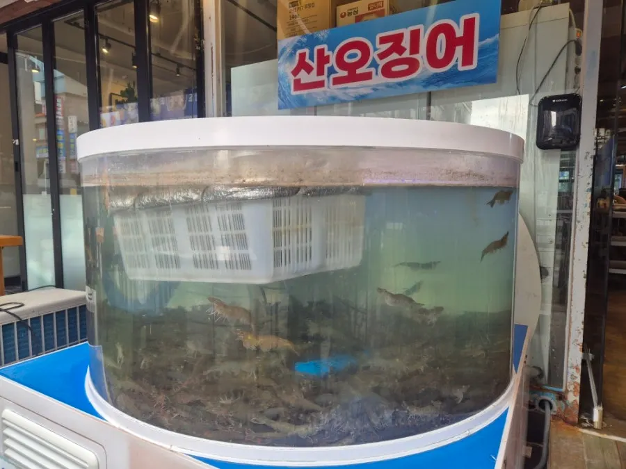 매장에 놓인 해산물 수족관
