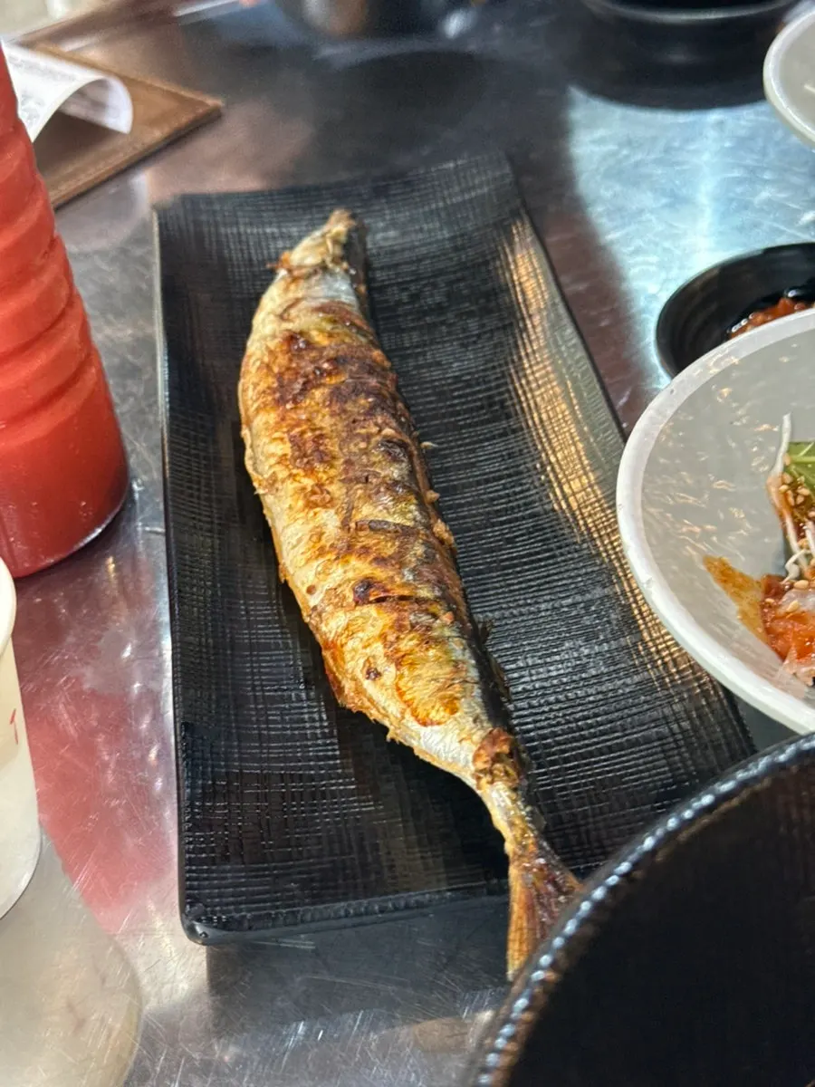 김과 와사비를 곁들인 꽁치
