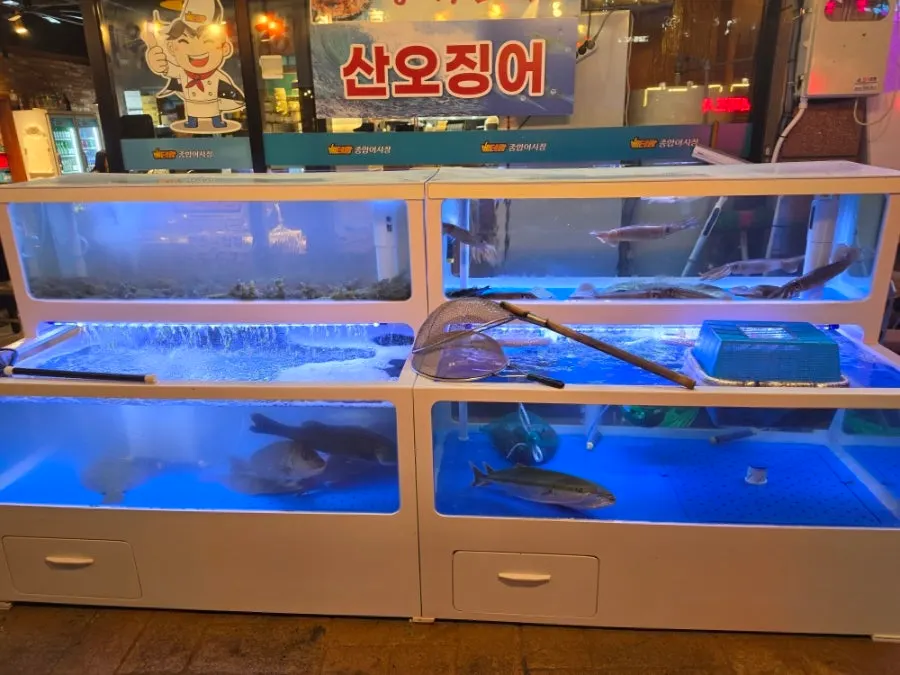 매장 입구의 활어 수족관