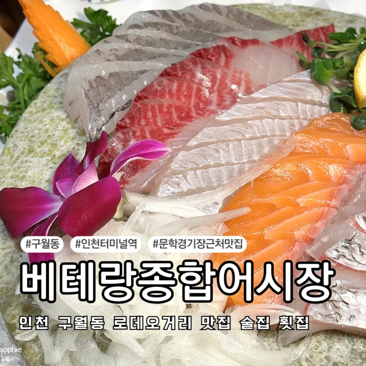 베테랑종합어시장 모둠회와 알탕