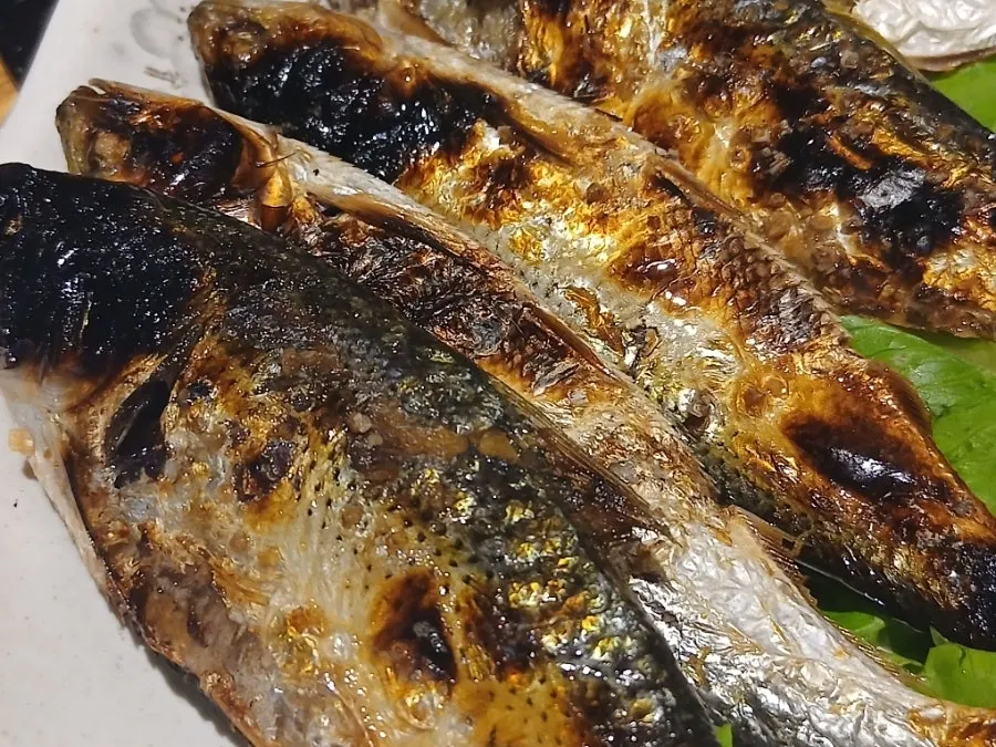 Warm grilled gizzard shad