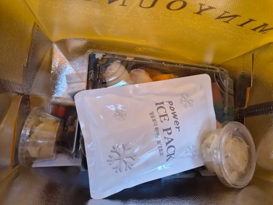 Ice pack included with the sushi order