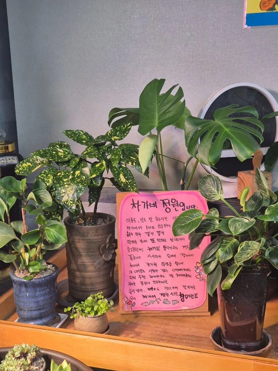 Fresh garden plants viewed after the meal