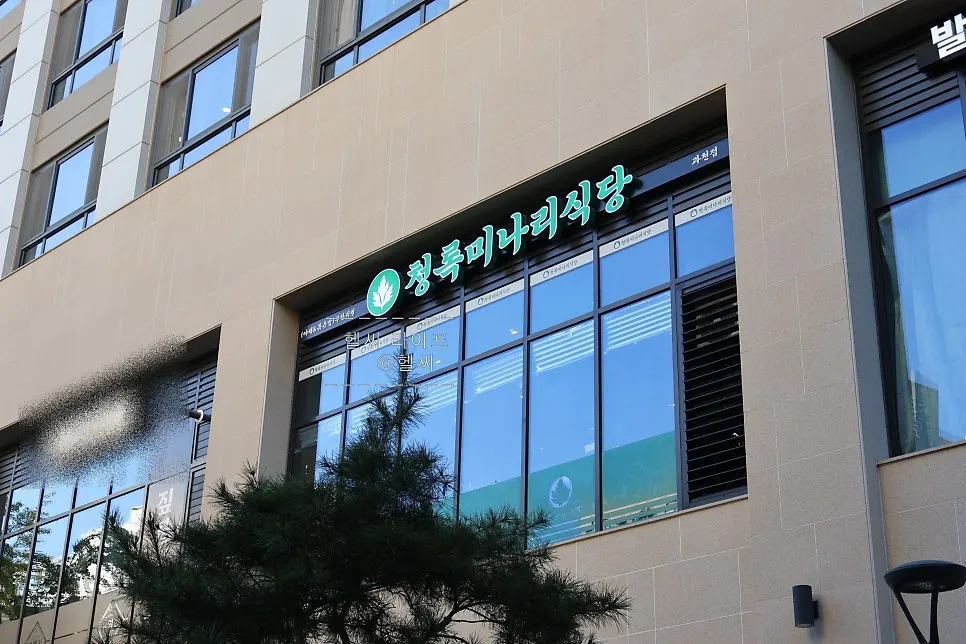 과천 삼겹살집 청록미나리식당 과천점 방문 모습