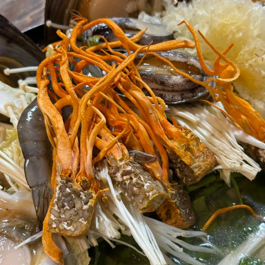 Ginseng chicken octopus hot pot for two topped with cordyceps