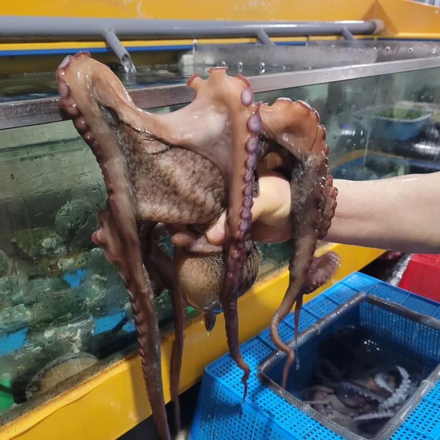 과천해신탕 매장 안내 이미지