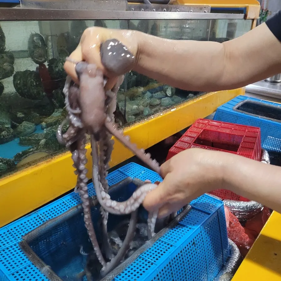 과천해신탕 위치와 이용 안내