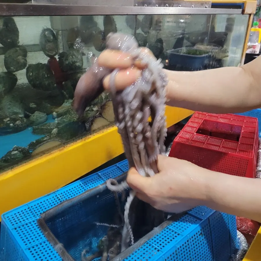 2인 해신탕과 칼국수 사리 주문