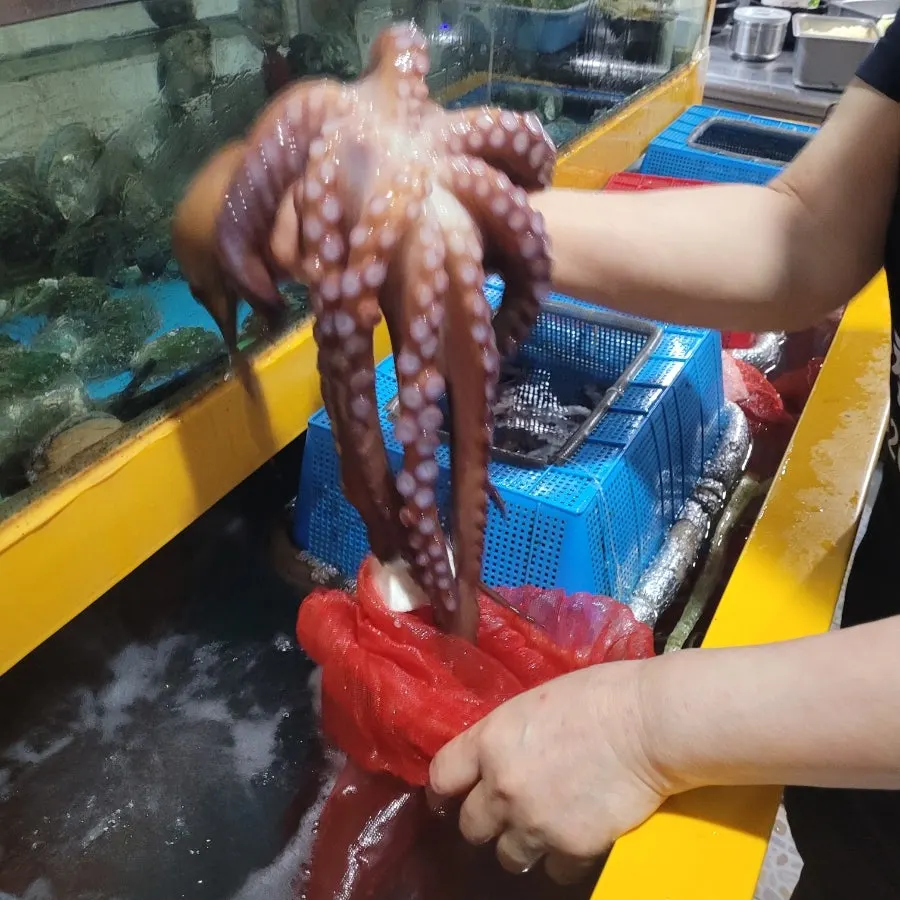 피문어 해신탕 메뉴