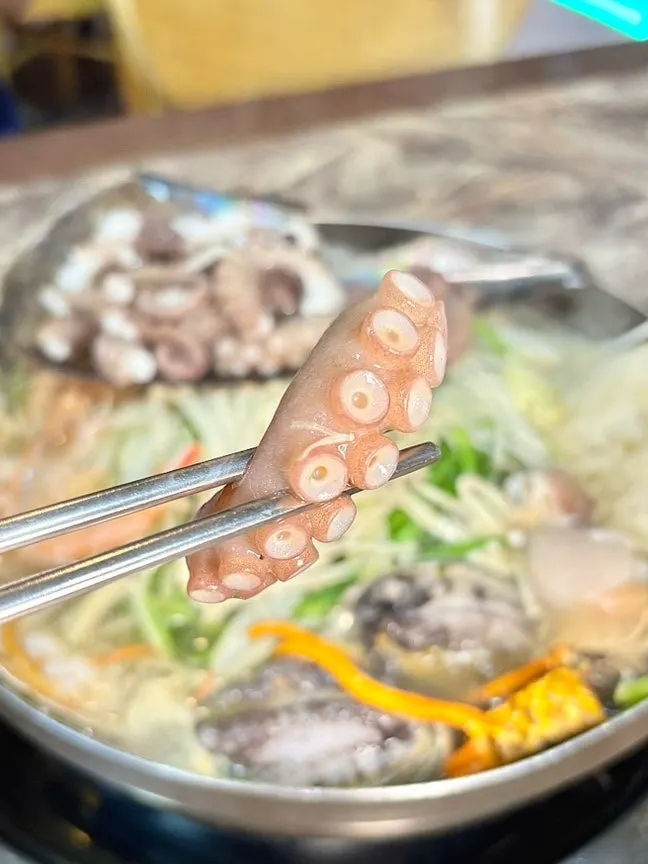 Tender octopus served on a shell