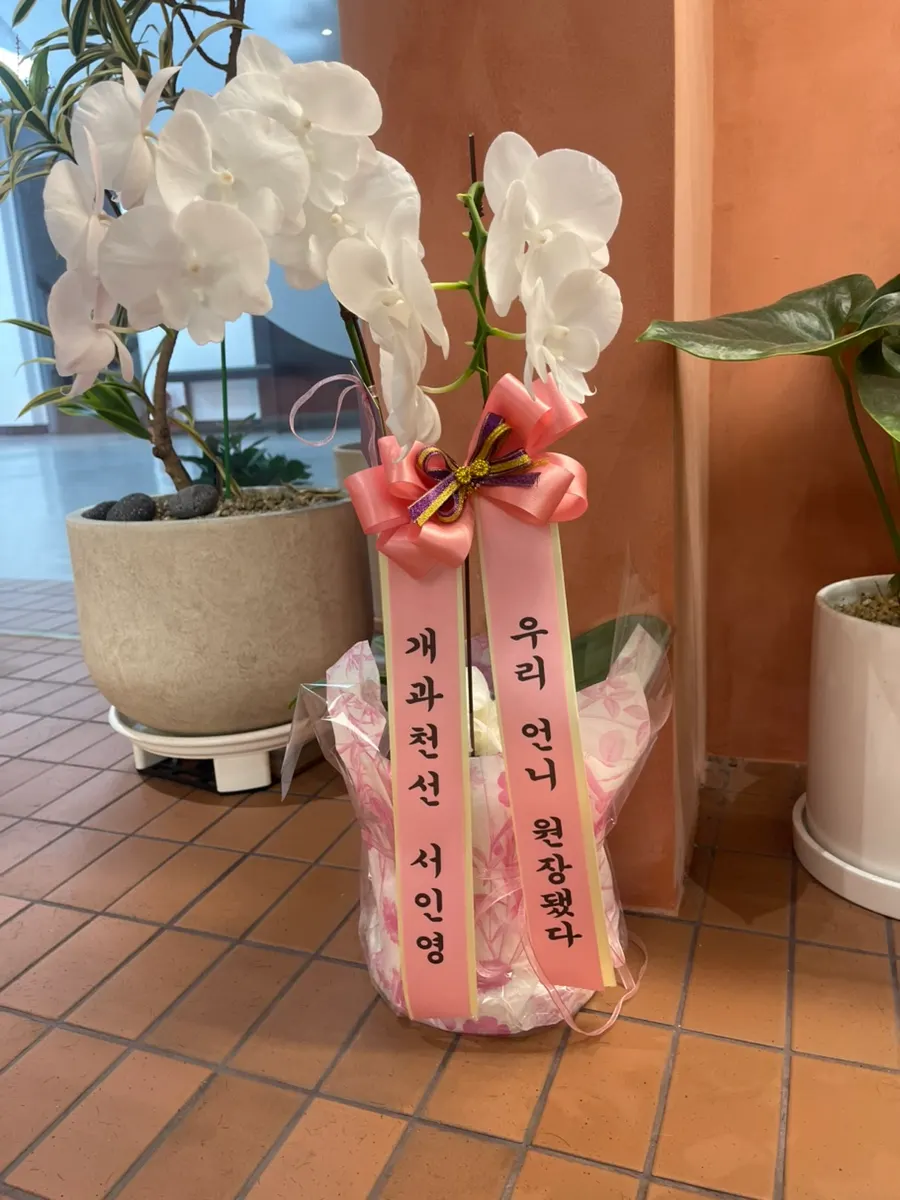 Gifted plant pot displayed in the salon