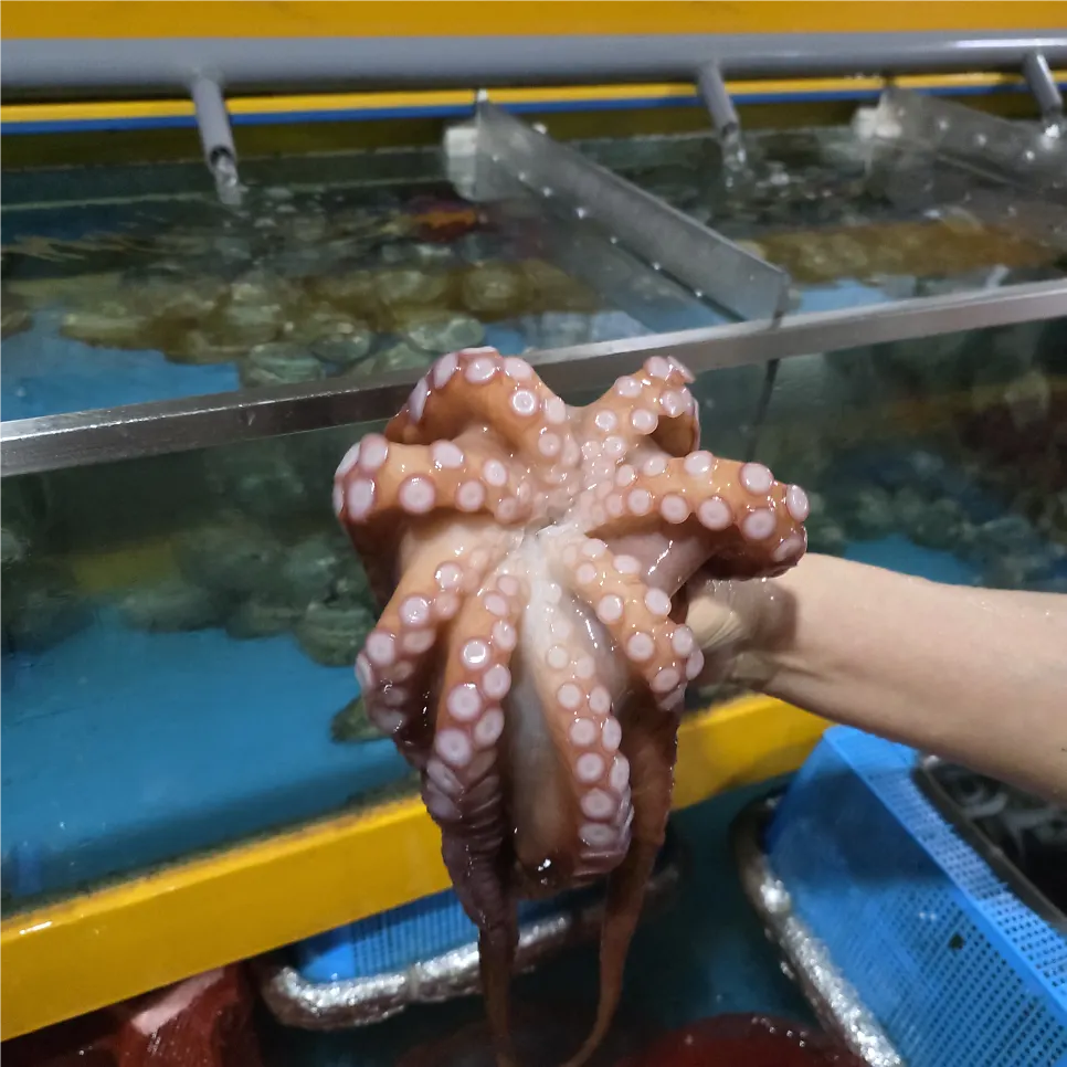 과천해신탕 홀과 가족모임 좌석