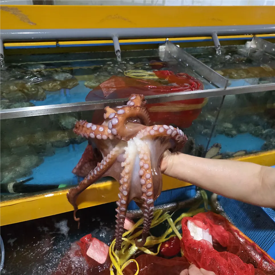 과천해신탕 룸 식사 공간