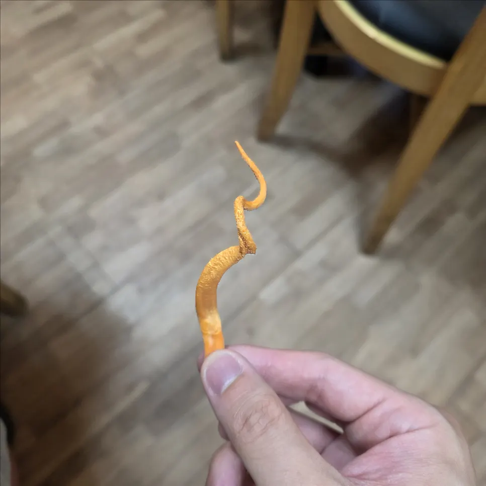 동충하초가 더해진 해신탕 육수