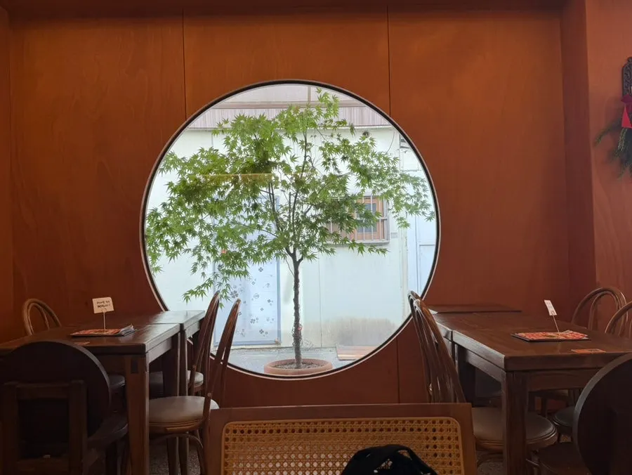 식물과 소품이 놓인 쾌세라 매장 내부