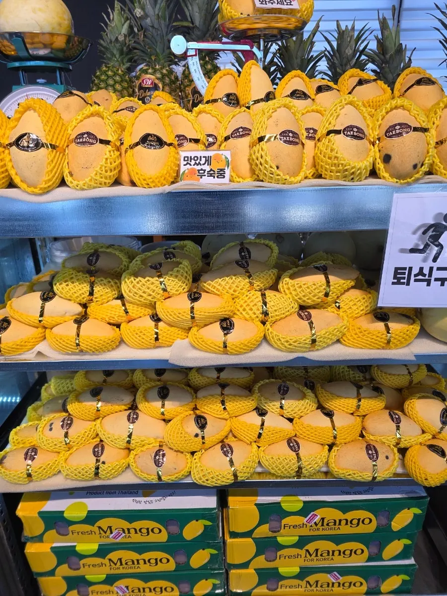 Display case packed with fresh mango, melon, and other fruit