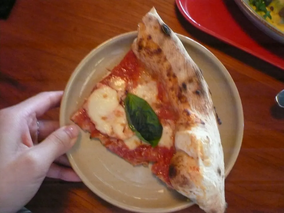 A slice of pizza topped with fresh basil and mozzarella