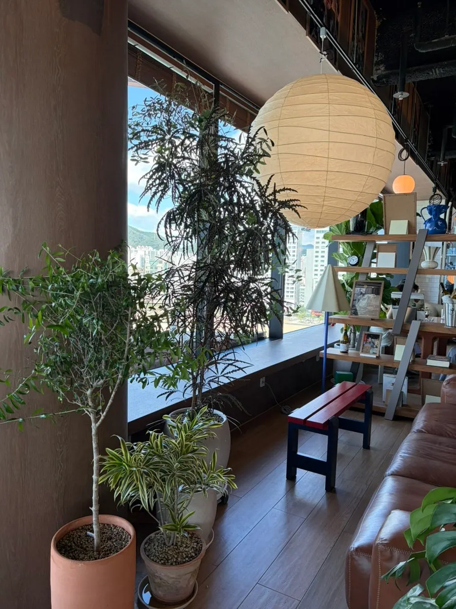 Window seating with lots of plants for a plant-interior feel