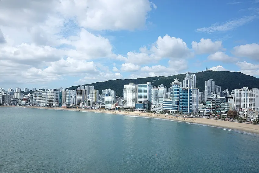 워킹홀리데이 민락 광안대교 파노라마 뷰
