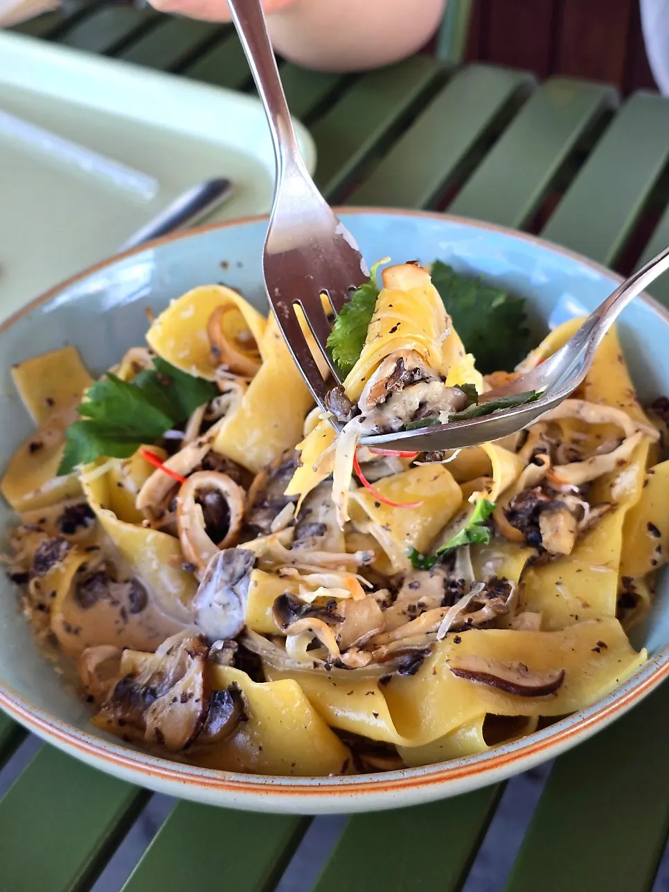 Mushroom cream pasta with wide noodles coated in sauce